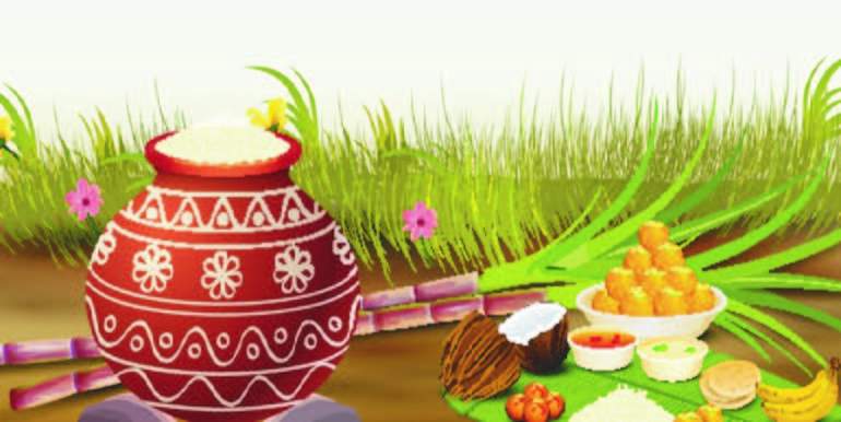 හින්දු බැතිමත්හු උත්සවශ්රීයෙන් තෛපොංගල් දිනය සමරති හින්දු බැතිමත්හු උත්සවශ්රීයෙන් තෛපොංගල් දිනය සමරති
