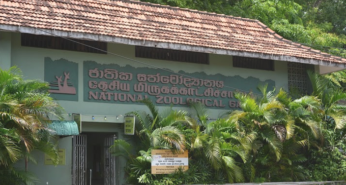 රට පුරා සියලුම සත්වෝද්යාන වසා දැමේ රට පුරා සියලුම සත්වෝද්යාන වසා දැමේ