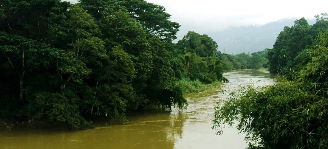 කැලණි ගඟේ ජලයේ ගුණාත්මක බව ගැන සහතිකයක් කැලණි ගඟේ ජලයේ ගුණාත්මක බව ගැන සහතිකයක්