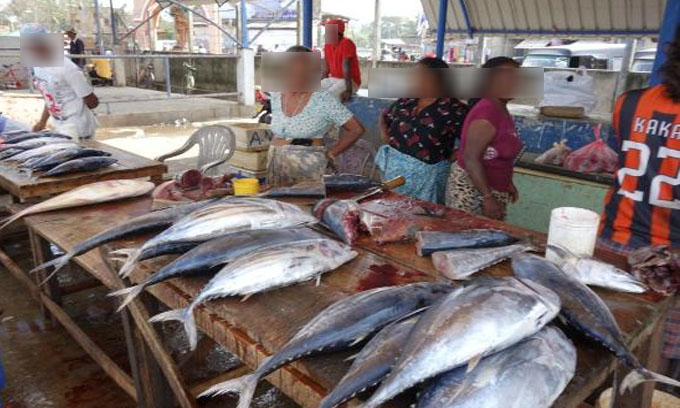 පොළේ මාළු වෙළදාම් කළ කන්තාවකටත් කොරෝනා පොළේ මාළු වෙළදාම් කළ කන්තාවකටත් කොරෝනා