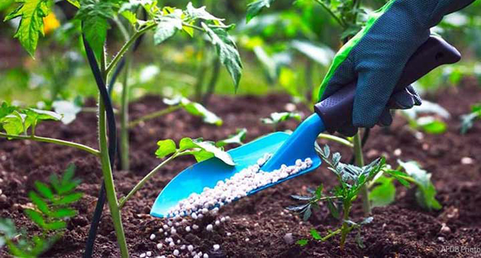 කාබනික පොහොර ආනයනය තාවකාලිකව නතර කිරීමට පියවර කාබනික පොහොර ආනයනය තාවකාලිකව නතර කිරීමට පියවර