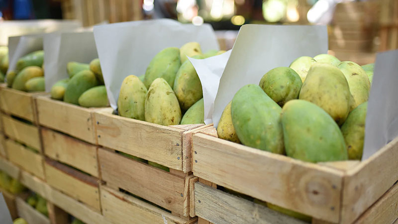 පාකිස්තානු අඹ විදේශීය සම්භාවනීය අමුත්තන්ට තෑගි කිරීමේ වාර්තා පාකිස්තානය ප්රතික්ෂේප කරයි පාකිස්තානු අඹ විදේශීය සම්භාවනීය අමුත්තන්ට තෑගි කිරීමේ වාර්තා පාකිස්තානය ප්රතික්ෂේප කරයි