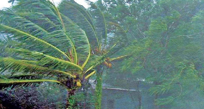 අදත් ප්රදේශ කිහිපයකට තද වැසි අදත් ප්රදේශ කිහිපයකට තද වැසි