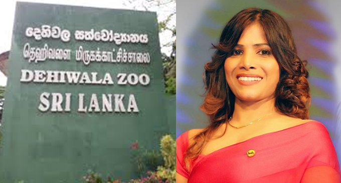 සත්වෝද්යාන දෙපාර්තමේන්තුවේ නව අධ්යක්ෂ ජනරාල් සත්වෝද්යාන දෙපාර්තමේන්තුවේ නව අධ්යක්ෂ ජනරාල්