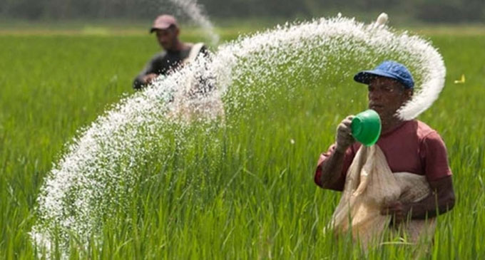 ඉන්දියාවෙන් කාබනික පොහොර ඉන්දියාවෙන් කාබනික පොහොර