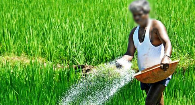 දේශීය පොහොර මිළදී ගැනීමට කැබිනට් අනුමැතිය දේශීය පොහොර මිළදී ගැනීමට කැබිනට් අනුමැතිය