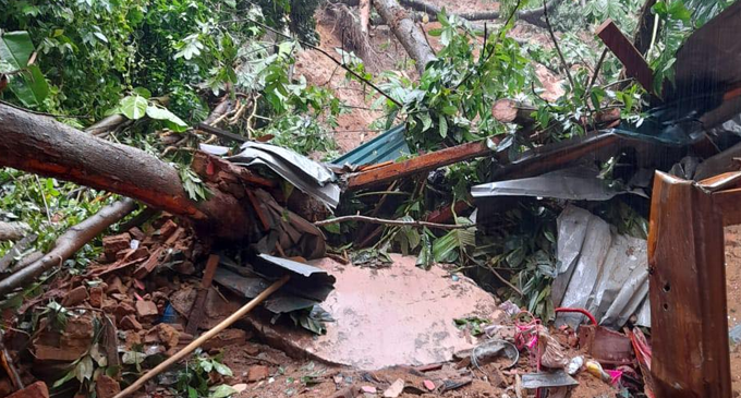 අලව්වේ නායයෑමක් – හෙදියක් මරුට අලව්වේ නායයෑමක් – හෙදියක් මරුට