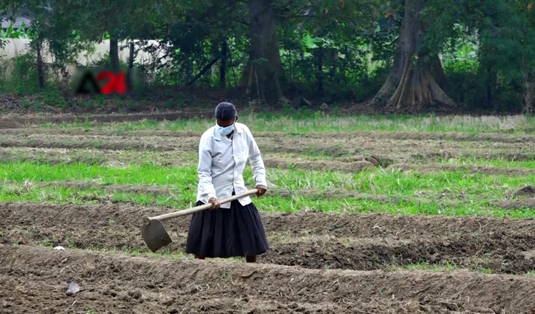 හානිකර බැක්ටීරියා හේතුවෙන් කාබනික පොහොර ගනුදෙනුව අවලංගු කරයි හානිකර බැක්ටීරියා හේතුවෙන් කාබනික පොහොර ගනුදෙනුව අවලංගු කරයි
