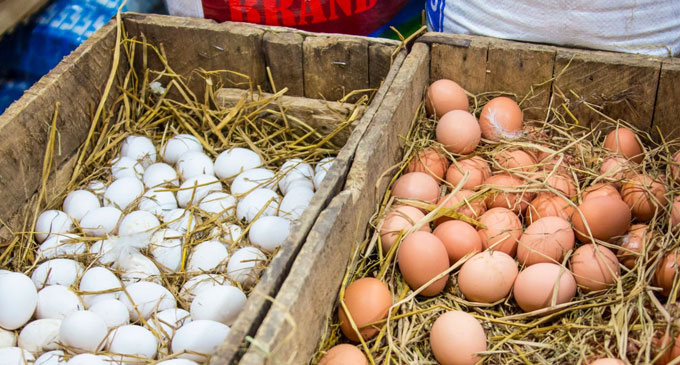 බිත්තරට යළි පාලන මිලක් බිත්තරට යළි පාලන මිලක්