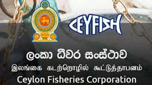 ඇමති බලයෙන් ටෙන්ඩර් මගඩියක් කළ ව්යාපාරිකයෙකු ගැන අල්ලස් කොමිසමට පැමිනිල්ලක් ඇමති බලයෙන් ටෙන්ඩර් මගඩියක් කළ ව්යාපාරිකයෙකු ගැන අල්ලස් කොමිසමට පැමිනිල්ලක්
