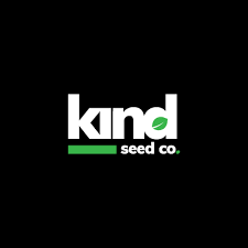 The Comprehensive Guide to Marijuana Seeds